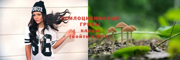 кокс Корсаков